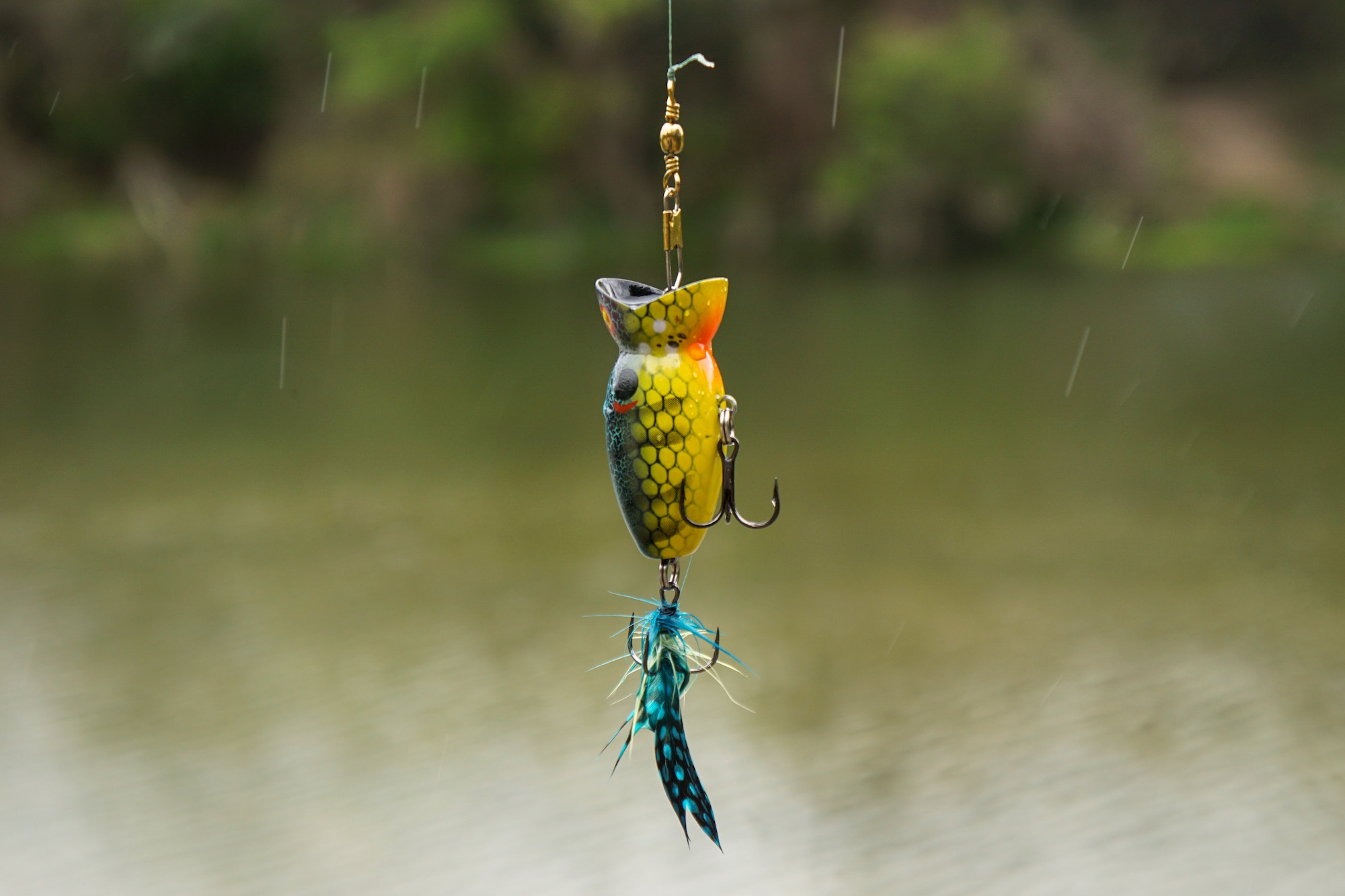 Houston Fishing